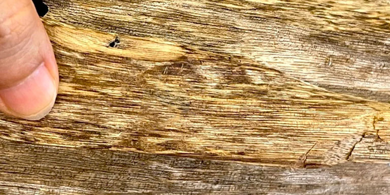 Kiểm Định Trầm Hương Liệu Có Đúng