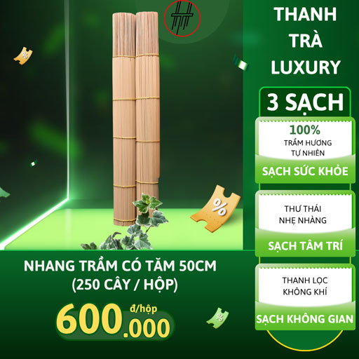 Nhang Trầm Hương Có Tăm 50cm Hộp 250 Cây